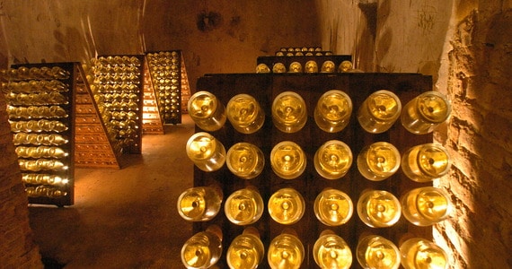 Champagne Wine Cellar | Scholar Wine Tour 2027
