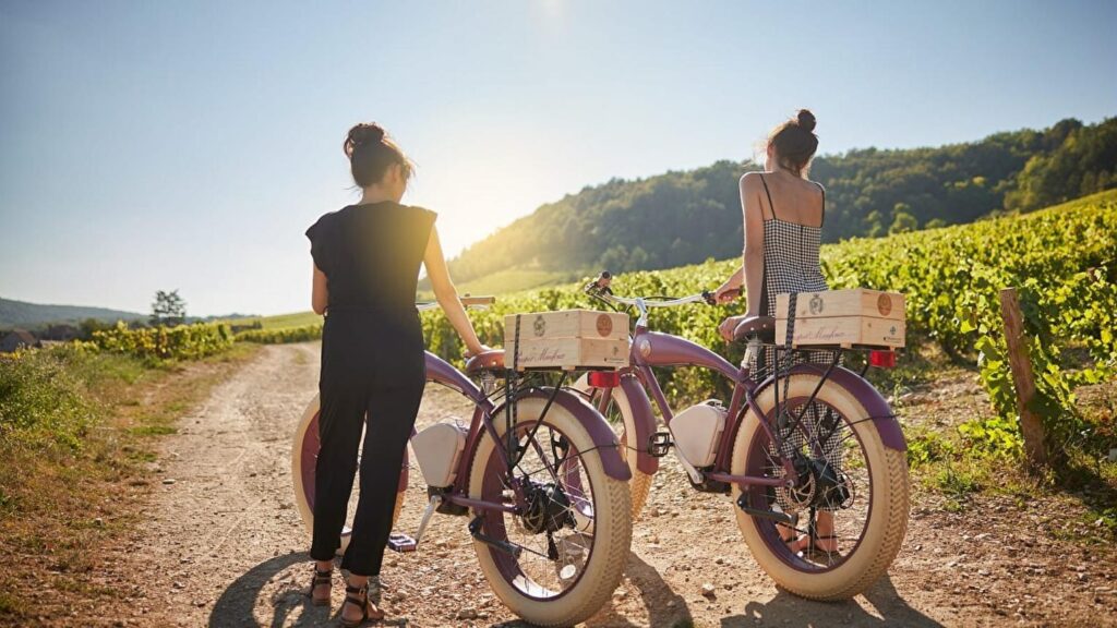 Travel with Scholar & Scribe | Scholar Wine Tour 2027